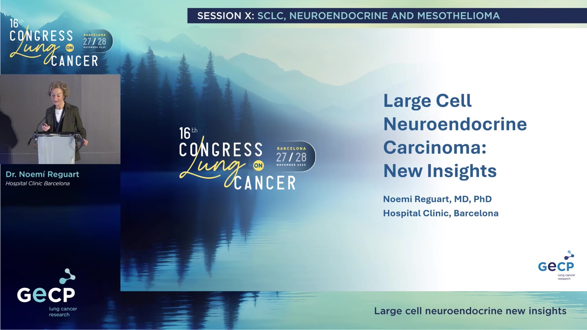 Large cell neuroendocrine new insights
